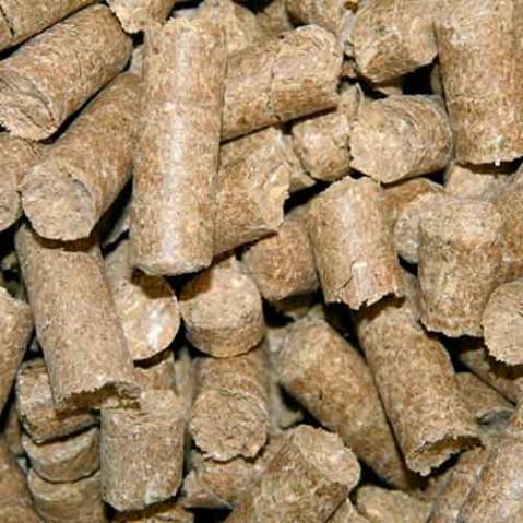 Bonbons pour chevaux - 3kg Delizia Kerbl