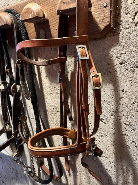 Filet taille cheval en cuir
