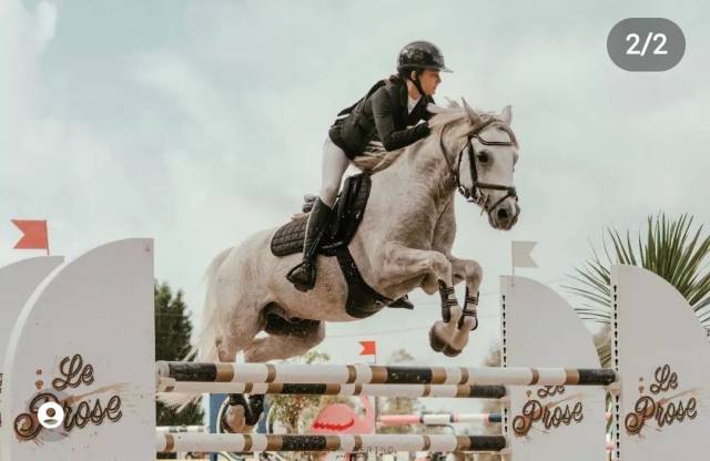 recherche d'emplois saisonnier autour des chevaux 