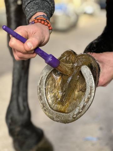 Huile de Cade Nutragile