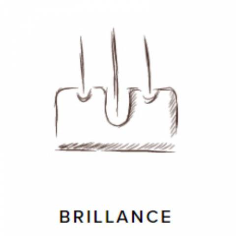 ProbioGuts - 15 kg - Stable Guts - Probiotiques BIO