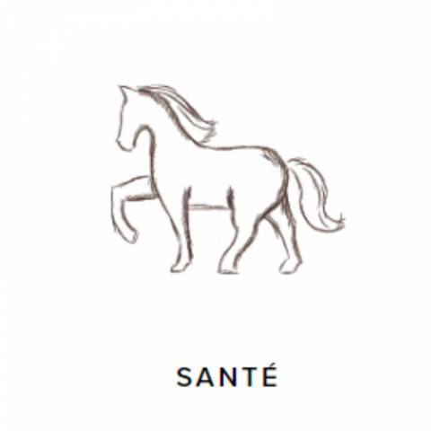 ProbioGuts - 15 kg - Stable Guts - Probiotiques BIO