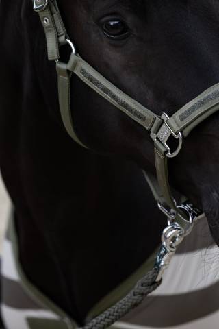 Licol mattgloss jewel double pin classic sports 2025 - Eskadron