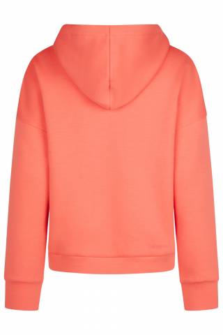 Sweat à capuche classic sports 2025 - Eskadron - edition limitée