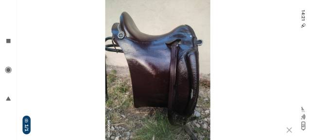 Selle ibérique 17.5