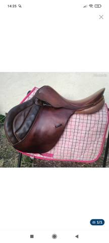 Selle mixte 