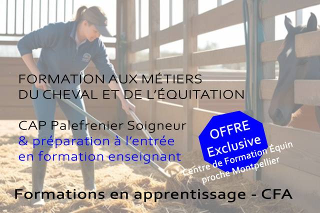 Formation CAP Palefrenier Soigneur