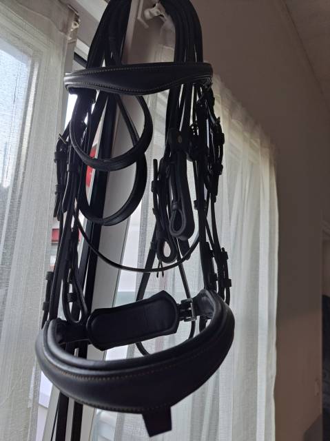 Bride dressage norton noire FS  