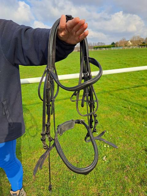 Bride dressage norton noire FS  