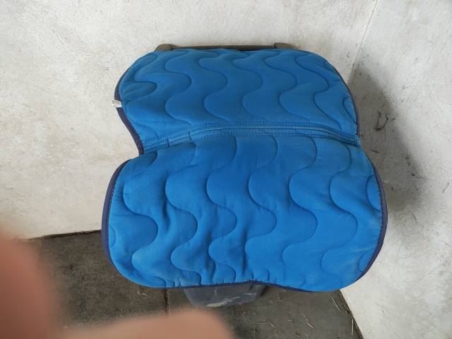Tapis equitheme
