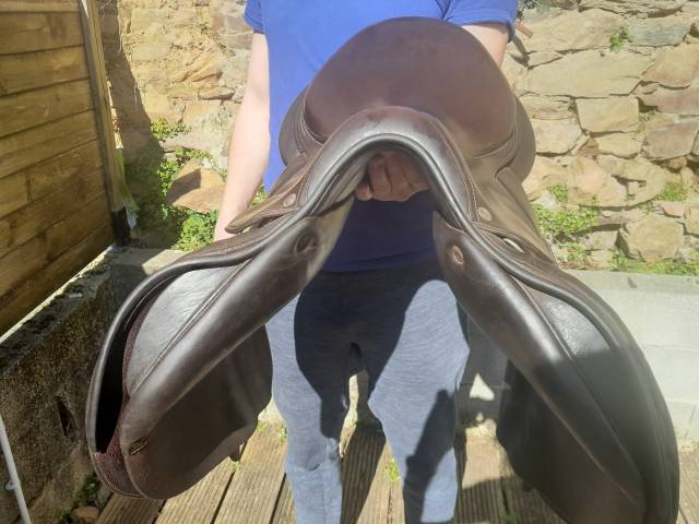 Selle seoul forestier 