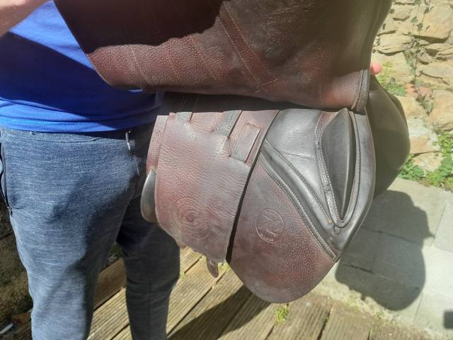 Selle seoul forestier 