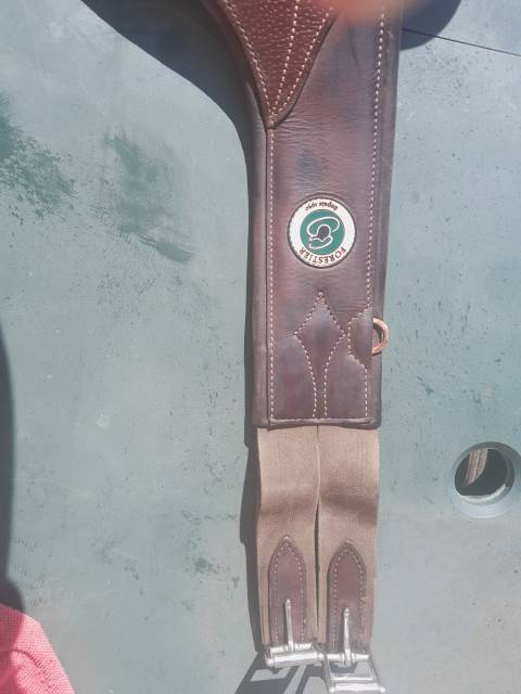 Selle seoul forestier 