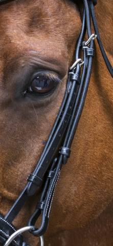 Bridon Pro Design Eric Thomas