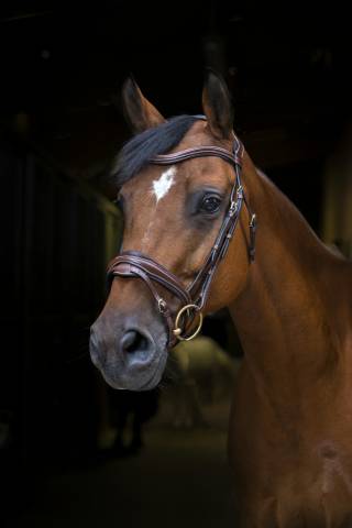 Bridon Pro Design Eric Thomas