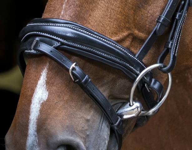 Bridon Pro Design Eric Thomas