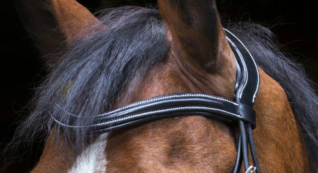 Bridon Pro Design Eric Thomas