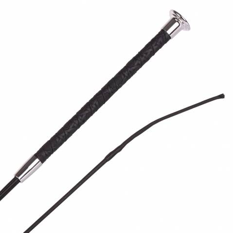 Stick Dressage 3d Harry's Horse