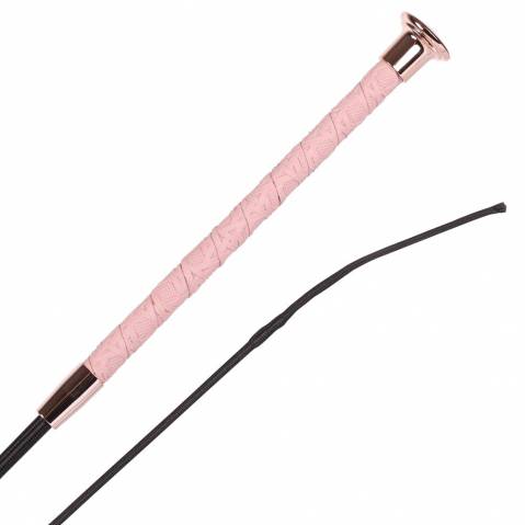 Stick Dressage 3d Harry's Horse