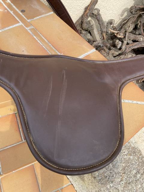 Sangle bavette Kentucky 