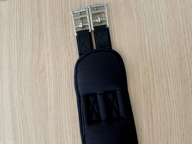 Sangle Memory Norton