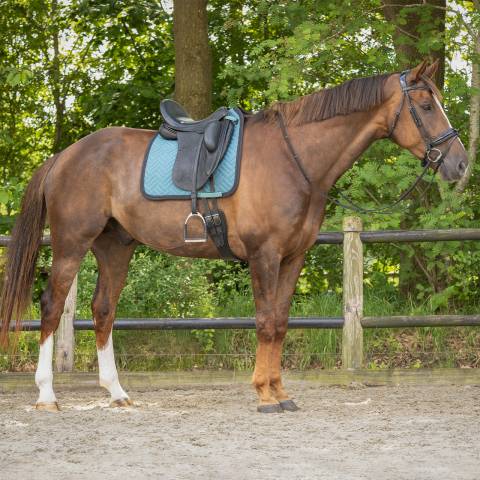 Tapis Micah ocean breeze QHP