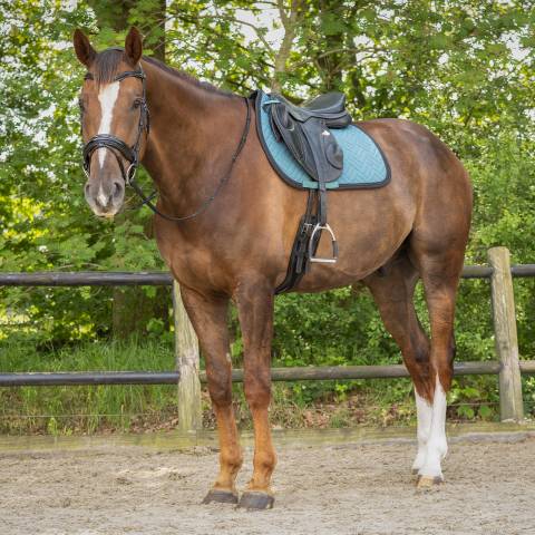 Tapis Micah ocean breeze QHP