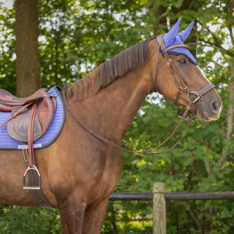 Tapis Nyomi purple sunset QHP