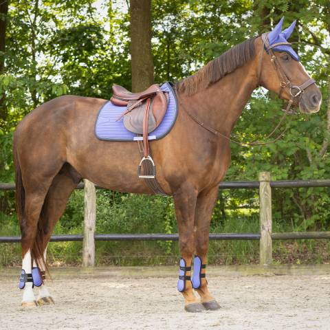 Tapis Nyomi purple sunset QHP