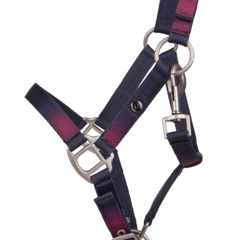 Licol+longe Jaily Ombre QHP