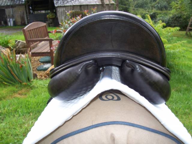 Amerigo Vega Selle de Dressage