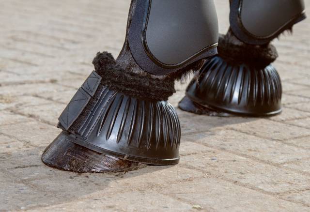 Cloche caoutchouc velcro mouton HKM