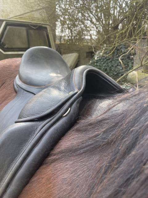Selle de dressage Childeric