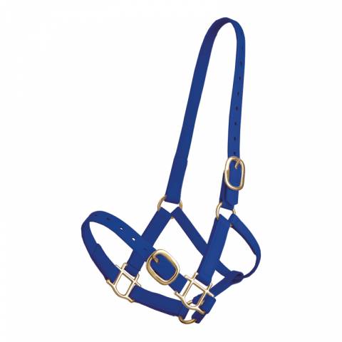 Licol en biothane Tolteam