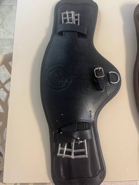 Sangle forestier noir 