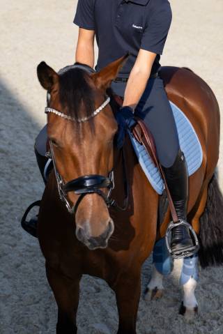 Tapis pro soft classic sports SS25 Eskadron