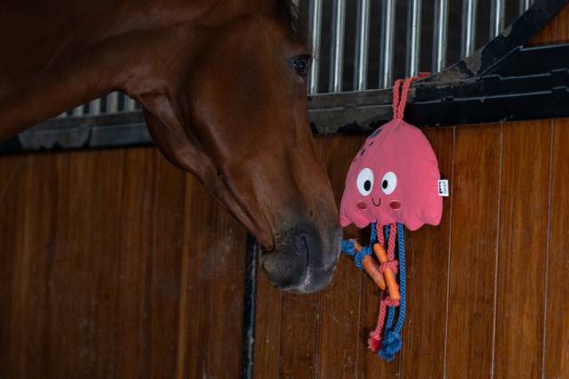 Jouet Pour Chevaux Jellyfish Classic Sports SS25 Eskadron