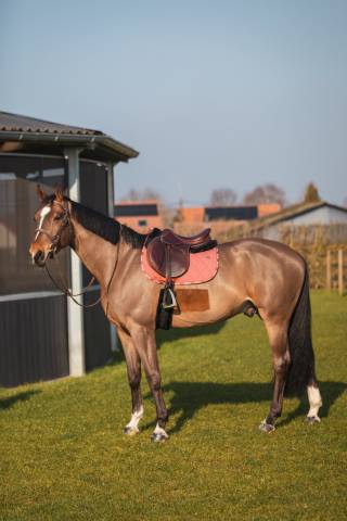 Tapis de selle LOVE Obstacle Rouille - GEM