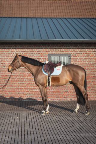 Tapis de selle Obstacle LEO Bleu ciel - GEM