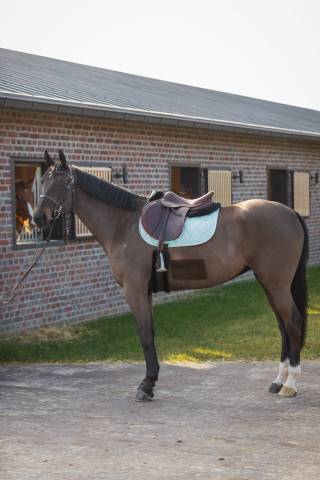 Tapis de selle LOVE Obstacle Menthe - GEM