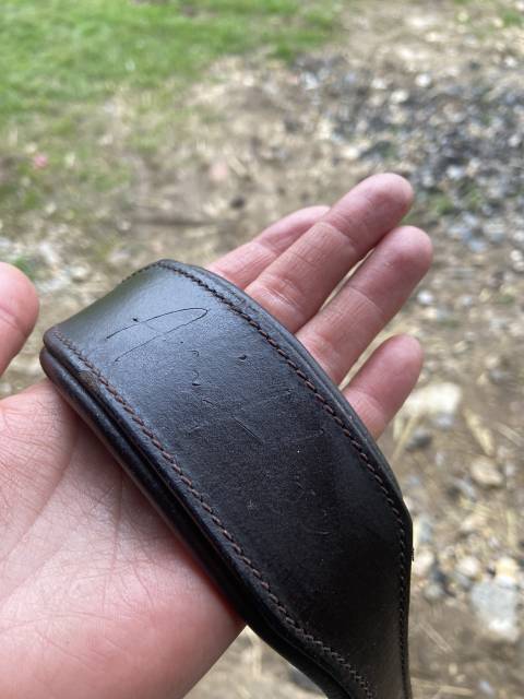 Têtière Advantiv + & Frontal Perform+ AIM’HORSE 