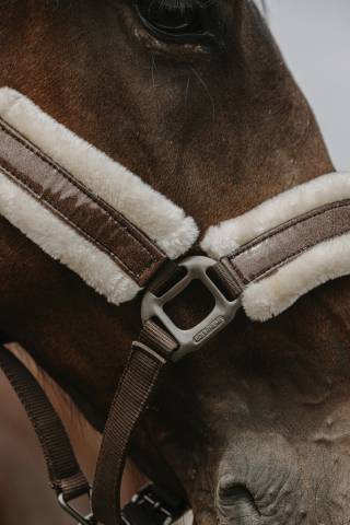 Licol nylon Fashion - Equithème