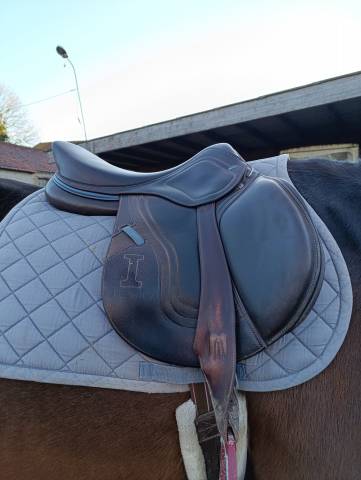 Selle Ikonic évolution 