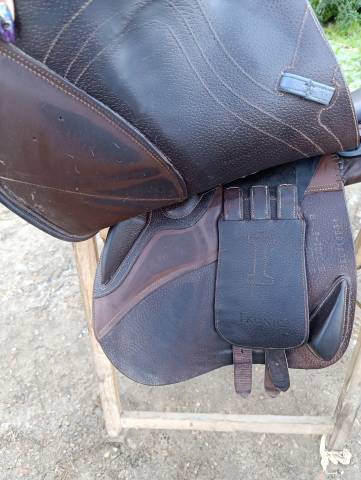 Selle Ikonic évolution 