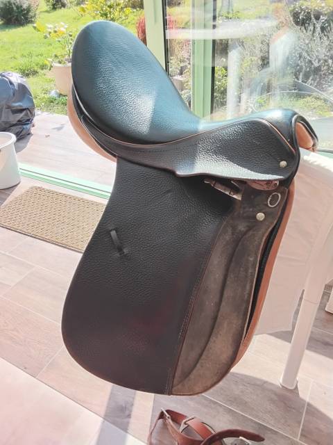 Excellente selle: suisse, FELSBACH Summaprada Husar
