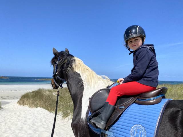 Selle ikonic évolution Line 17’ 