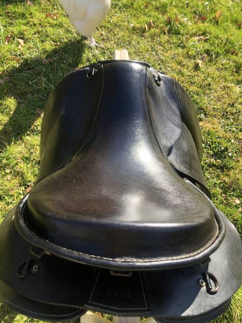 Selle de randonnée Trec Prestige 18’’ TH Cuir