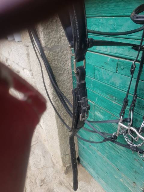 Bride complète cuir noir Eric Navet