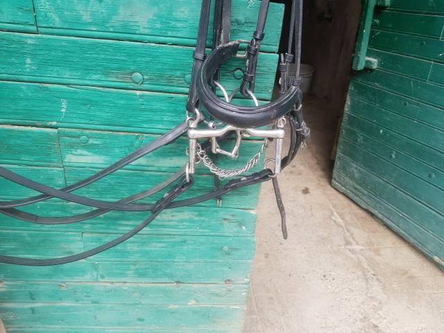 Bride complète cuir noir Eric Navet