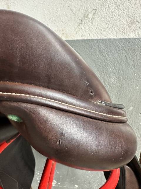 Selle Équipe Carbon